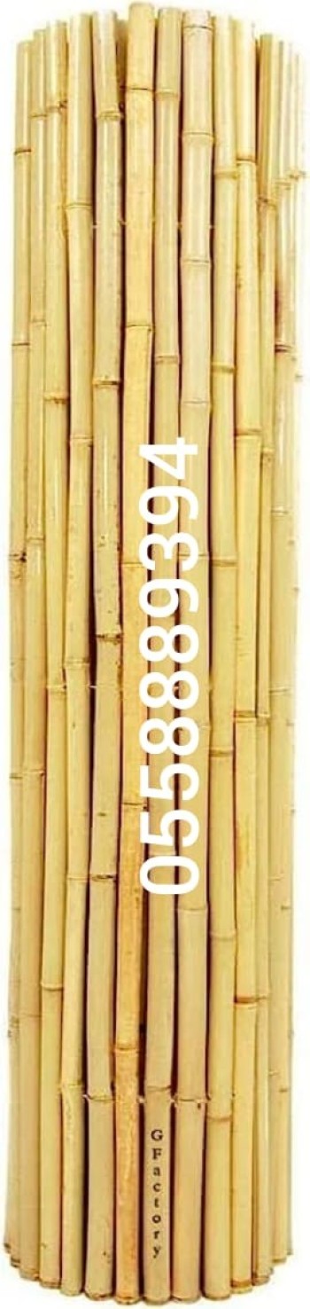 Thicker bamboo 1