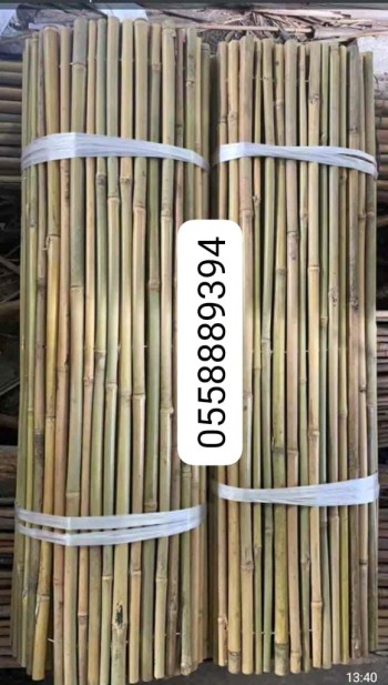 Thicker bamboo 5