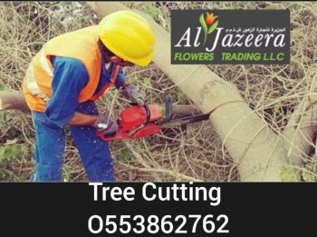 TREE CUTTING AND DISPOSAL SERVICE UAE