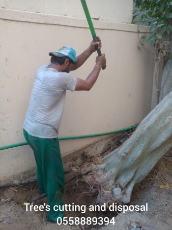 Tree cutting services