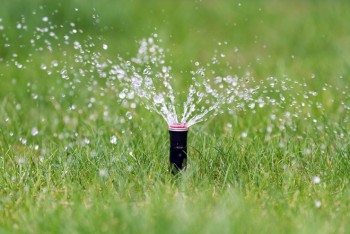 SprinklerRepairsEvergreenSprinklerLandscapeServicesWPalmBeach