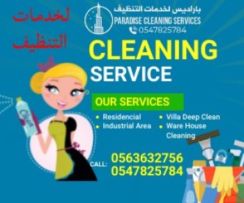 Cleaning Services Ad Template - Made with PosterMyWall