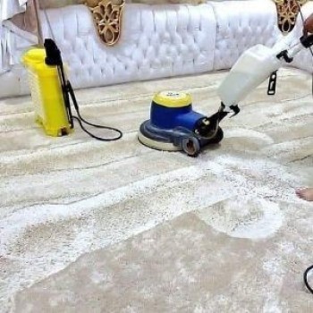 Professional Sofa Carpet Cleaning Regular Shampoo