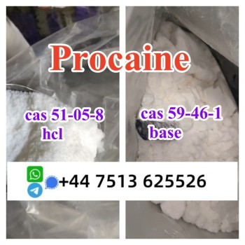 procaine hcl base (1)