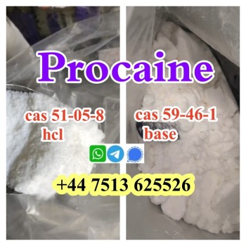 procaine hcl base (4)