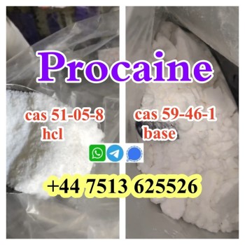 procaine hcl base (5)