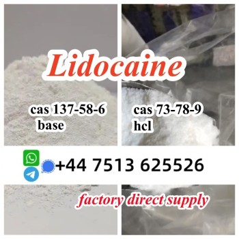 lidocaine hcl base (1)