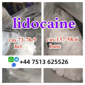 lidocaine hcl base (6)