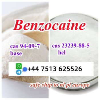 benzocaine hcl base (2)