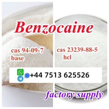 benzocaine hcl base (3)