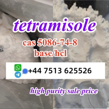 tetramisole hcl base (3)