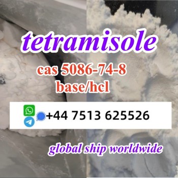 tetramisole hcl base (4)