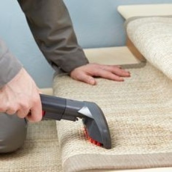 SOFA,CARPET,MATTRESS,CHAIRS,PROFESSIONAL CLEANING SERVICES