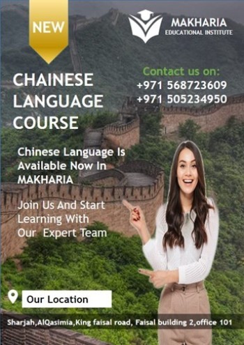 Chinese Language Essentials: From Basics to Fluency