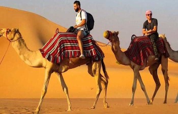 camel-desert-safari-dubai-700x450