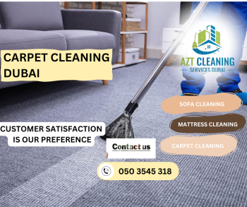 Sofa Cleaning_20240930_091344_0000