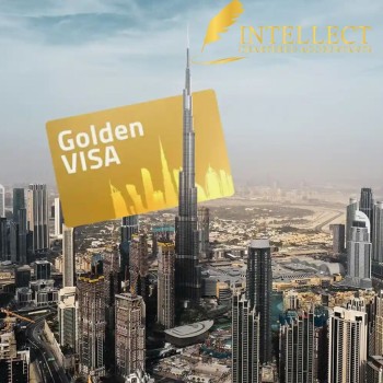 Get Your UAE Golden Visa with Intellect Chartered Accountants