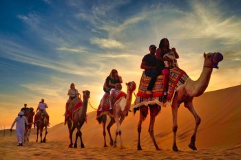 Unforgettable Desert Safari in Dubai: The Ultimate Safari Adventure