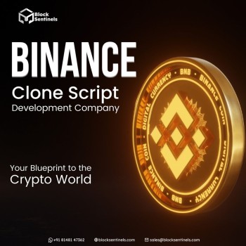 Best Binance Clone Script Company - Block Sentinels 