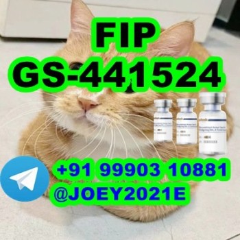 GS-441524 cat Fip