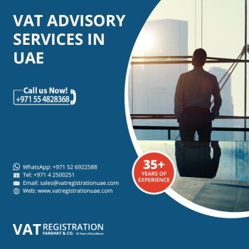 VAT Filing Experts Service in the UAE