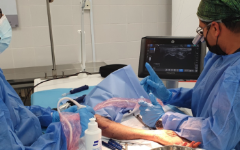 Screenshot-2023-05-01-at-3.13.15-PM