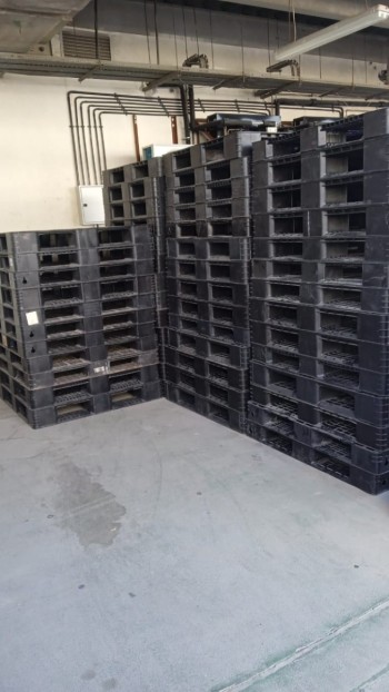 0555450341 plastic pallets sale