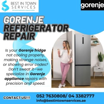 Gorenje Refrigerator Repair Services 