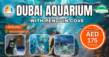 Dubai Mall Aquarium Tickets Price