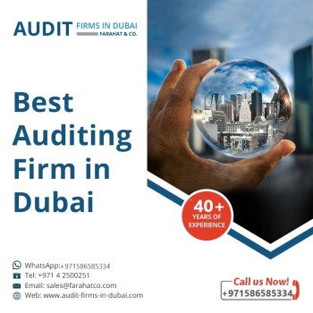 Professional Auditing Services in Dubai