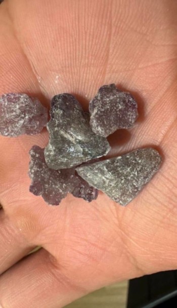 WhatsApp Image 2025-11-15 at 7.09.38 AM