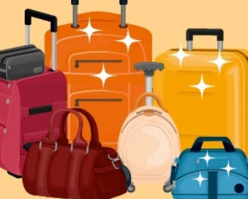 Professional Bag Cleaning Service | Restore Your Designer Bags