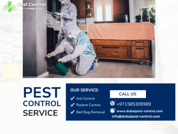 Pest Control Dubai