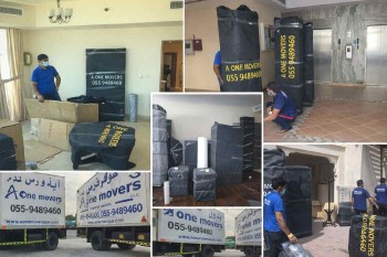 CompressJPEG.Online_1_100kb_6275