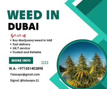 Website - streetkiddubai.com | Buy Medicated Cannabis Weed Marijuana Hash Thcvape Online In Dubai