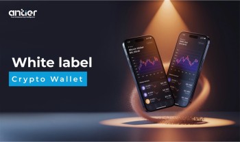 Use White Label Crypto Wallets to Grow Your Business In 2026