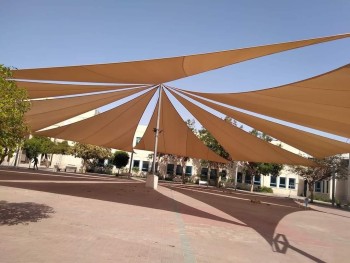 FB_IMG_1624264117398