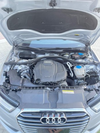 WhatsApp Image 2026-02-16 at 16.23.13