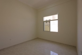 WhatsApp Image 2026-02-17 at 11.13.23 (2)