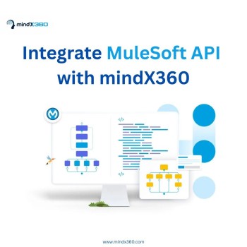 Pi7_image_tool Improve your Business Growth with MuleSoft and mindX360