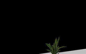 Reception Desks in Dubai: Combining Design, Function & Space Planning