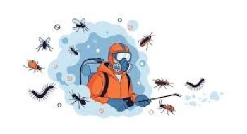 Pest Control in Dubai – Professional Services by UAE Pest Men