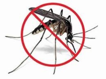 Mosquito Pest Control Dubai – Fast & Effective Solutions by UAE Pest Men