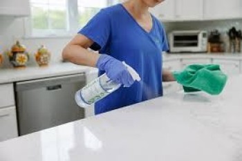 Can You Really Trust Any Maid Service Near Me in Abu Dhabi? Discover PPJ Solutions