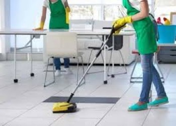 Searching for Maid Home Cleaning Services? Can PPJ Solutions Meet Your Needs?