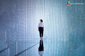 inside-teamlab-phenomena-abu-dhabi-virtual-tour