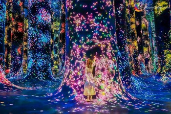 teamlab-phenomena-abu-dhabi-ticket-best-price