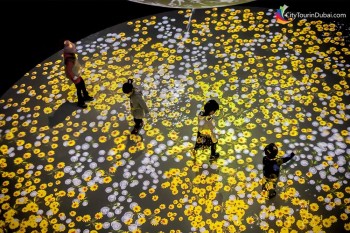 teamlab-phenomena-abu-dhabi-ticket-family-pack