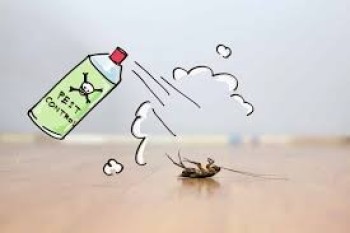 PPJ Solutions – Your Trusted Pest Control Company Abu Dhabi