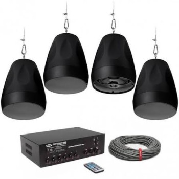 Suspended Ceiling Speakers | Apex American Audio